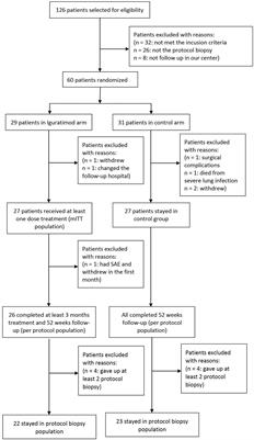 Efficacy and Safety of Iguratimod Supplement to the Standard Immunosuppressive Regimen in Highly Mismatched Renal Transplant Recipients: A Pilot Study